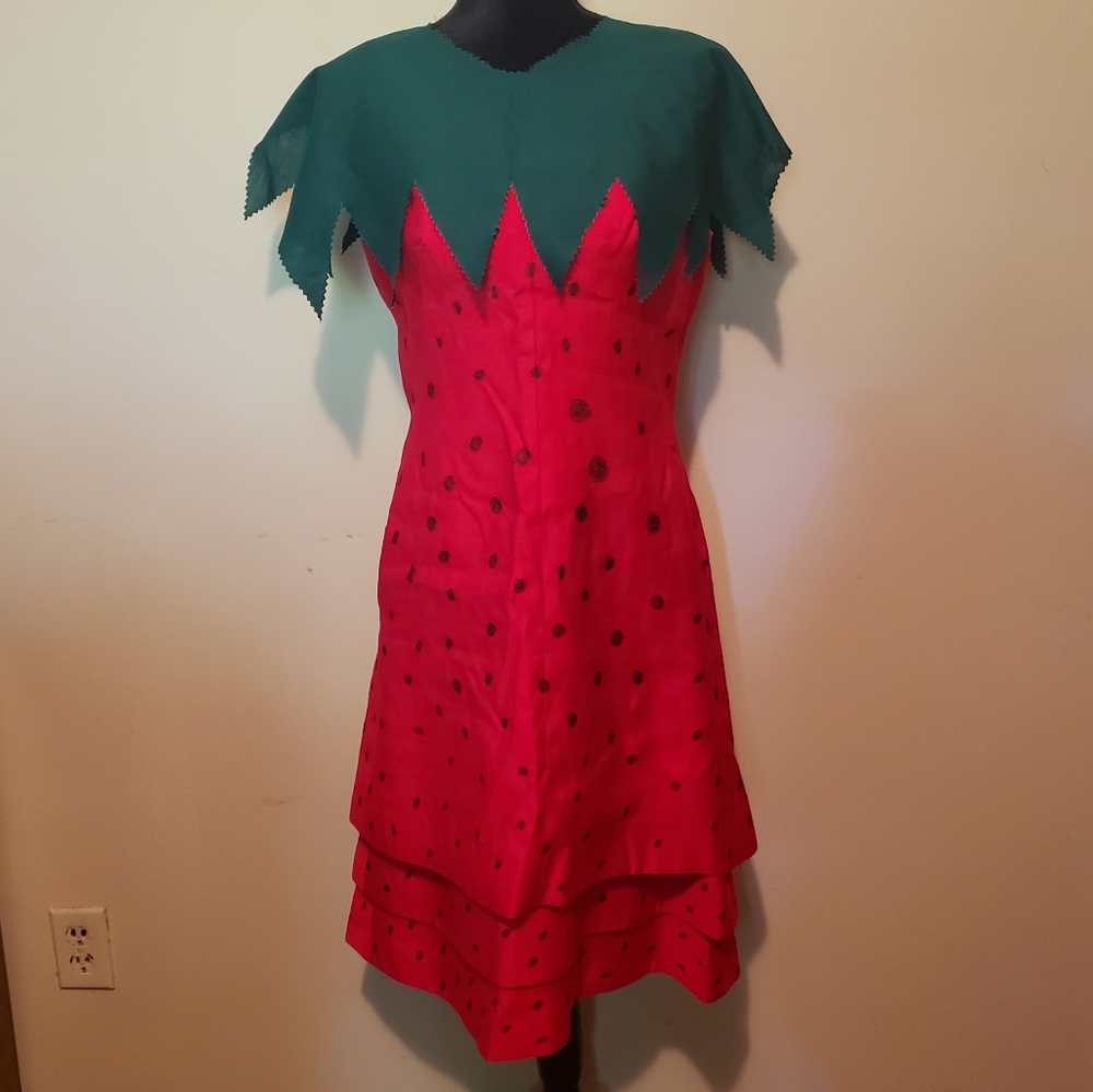 Vintage Handmade Strawberry Costume